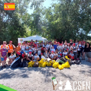 Equipo de limpieza COLINA en Granada