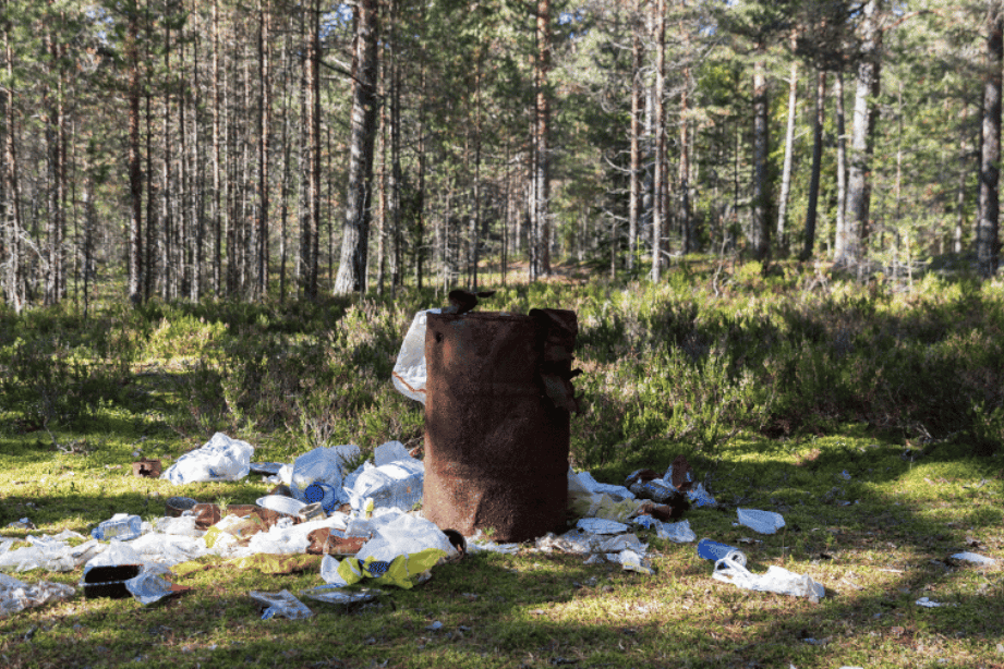 Clean the world before