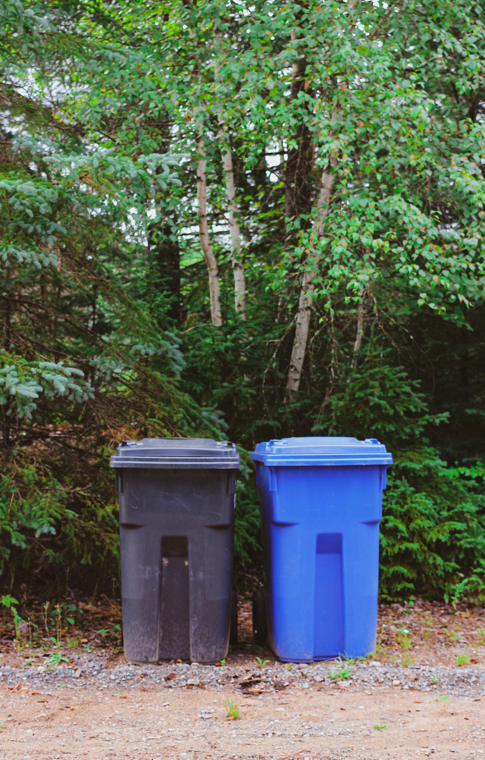 A household recycling bin with mixed plastic items, illustrating common recycling myths and what is actually recyclable