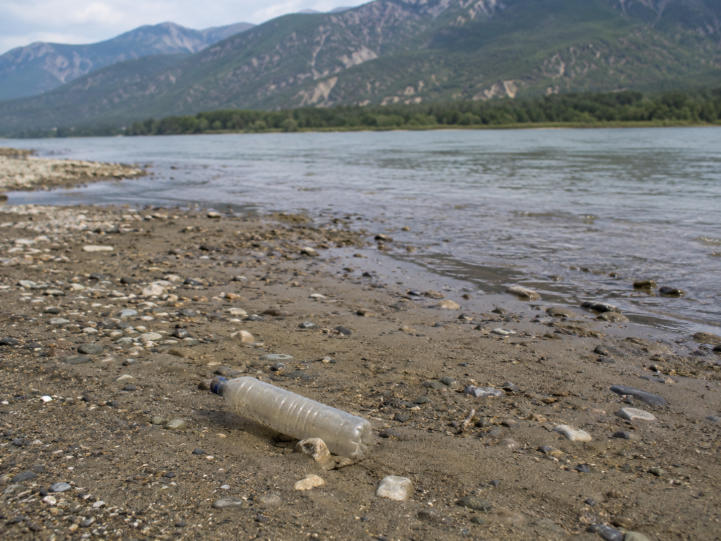 A single weathered plastic bottle on a riverbank, illustrating its journey from waste to ocean
