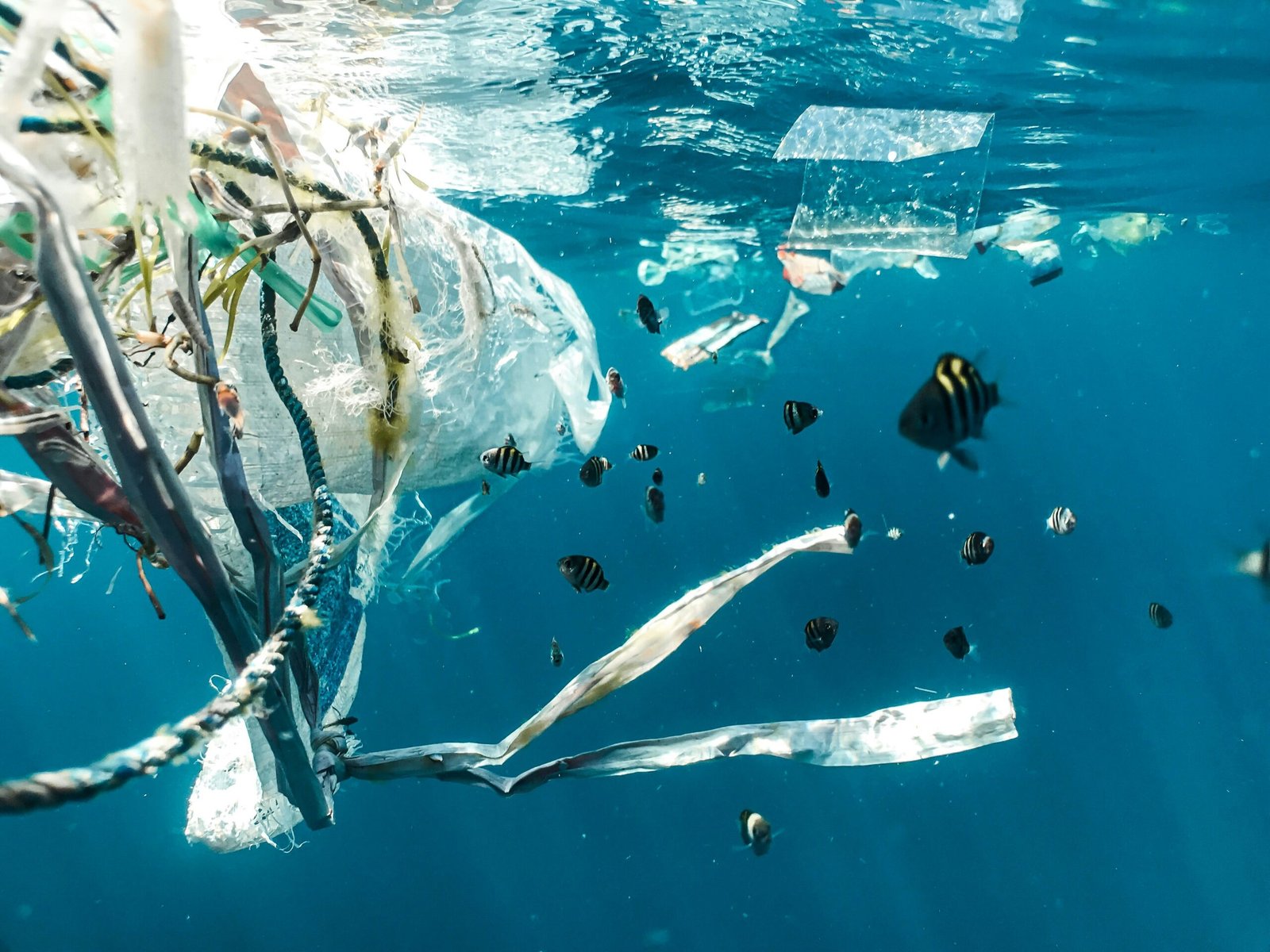 Ocean plastic litter